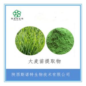大麦苗粉 大麦苗提取物 全水溶 食品级原料