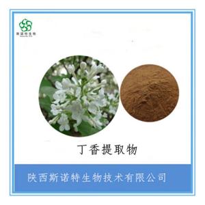丁香速溶粉 丁香提取物粉 食品级原料 *