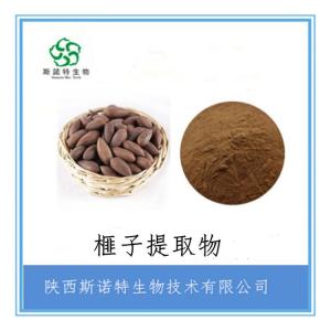 榧子浓缩粉 榧子提取物 水溶性好 无沉淀 *