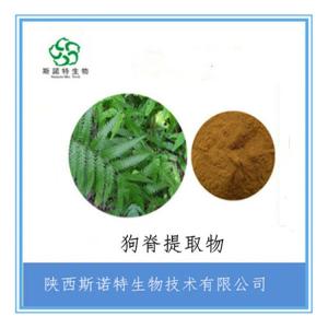 狗脊提取物 狗脊浸膏粉 水溶性粉 无沉淀 免费试样