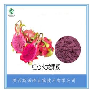 速溶火龙果粉 火龙果汁粉 无色素 水溶性好 免费试样