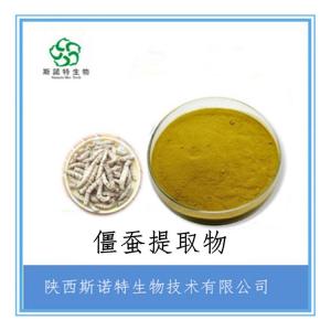 僵蚕提取物 僵蚕粉 喷雾干燥粉 全水溶