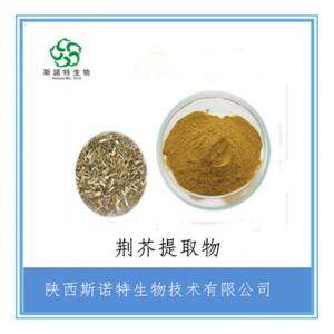 荆芥浓缩粉 荆芥提取物 全水溶 免费试样