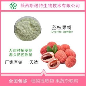 荔枝粉 荔枝速溶粉 食品级 免费试样