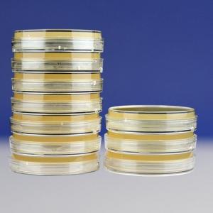 山梨醇麦康凯琼脂（SMAC）平板（9cm）   HBPM017     10个/包
