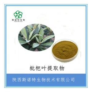 枇杷叶速溶粉 枇杷叶提取物30:1 全水溶 食品级