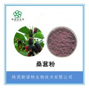 速溶桑葚粉 桑葚汁粉 无色素 全水溶 1公斤起订