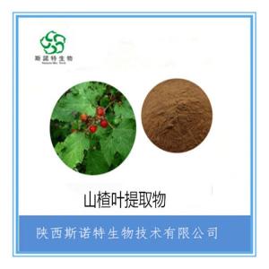 山楂叶速溶粉 山楂叶提取物  比例提取 全水溶 无沉淀