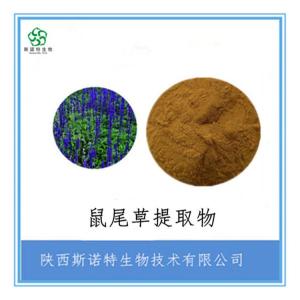  鼠尾草酸20% 鼠尾草提取物 迷迭香酸 可定制