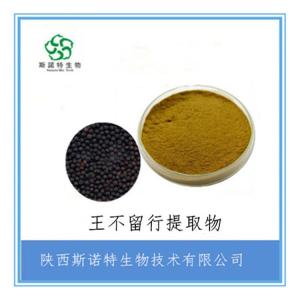 王不留行提取物 比例提取 高倍浓缩 免费试样 可定制
