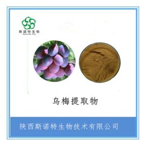乌梅浓缩汁粉 乌梅提取物粉 水溶性好 食品原料