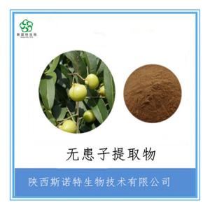 无患子提取物   比例提取  食品级原料