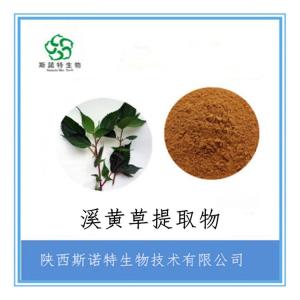 溪黄草提取物 溪黄草粉 喷雾干燥粉 全水溶