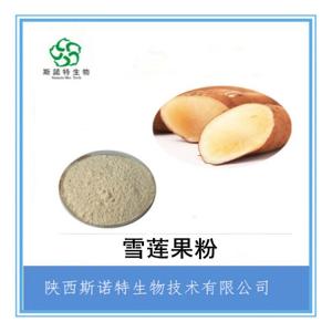 雪莲果粉 浓缩速溶粉 *供应 附外检报告