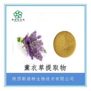 薰衣草浓缩粉 薰衣草提取物粉 比例提取 喷雾干燥 