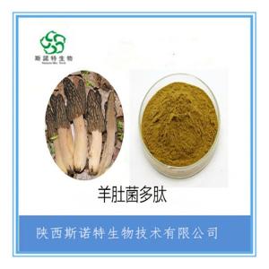 羊肚菌多肽 羊肚菌小分子肽 食品级 全水溶