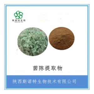 茵陈速溶粉 茵陈提取物30：1  比例提取 食品级 全水溶