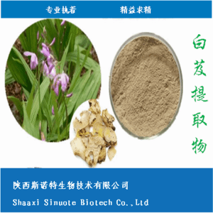 白芨提取物 白芨粉 比例提取 食品级 全水溶 