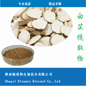 白芷速溶粉 白芷提取物粉 全水溶 喷雾干燥 免费试样