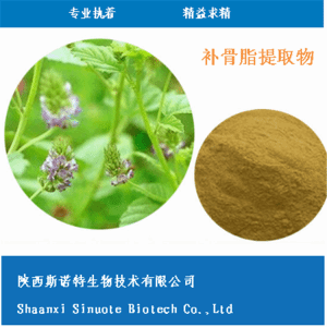 补骨脂速溶粉 补骨脂提取物30:1 高倍浓缩 食品级 全水溶