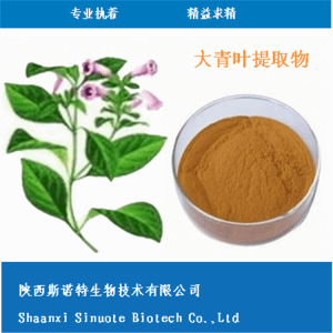 大青叶浸膏粉 大青叶提取物粉 全水溶 无沉淀