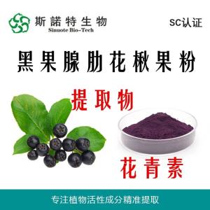 黑果腺肋花楸粉 黑果腺肋花楸提取物 花青素25%