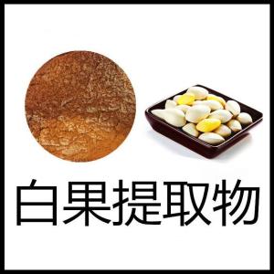 白果提取物现货供应