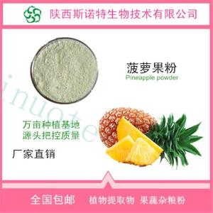 菠萝粉 菠萝汁粉 喷雾干燥粉 全水溶 免费试样