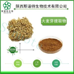 麦芽提取物30:1 麦芽速溶粉 全水溶 高倍浓缩 食品级