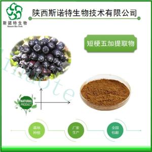 短梗五加提取物20:1 短梗五加浓缩粉 新资源食品原料