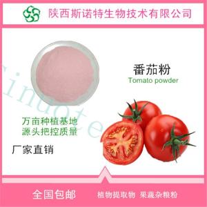 速溶番茄粉 番茄浓缩粉 SC供应 免费试样