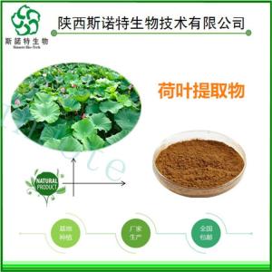 荷叶粉 荷叶提取物 水溶性粉 食品级 无沉淀 免费试样