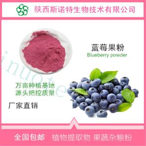 速溶蓝莓果粉 蓝莓汁粉 水溶性粉 无沉淀 SC供应
