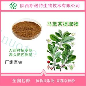 马黛茶浓缩粉 马黛茶提取物30:1 高倍浓缩 食品级