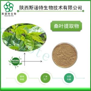 桑叶速溶粉 桑叶提取物 高倍浓缩 全水溶 食品级