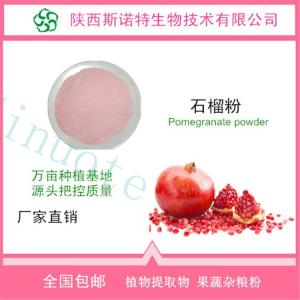 速溶石榴粉 石榴汁粉 食品级 全水溶 无色素 免费试样