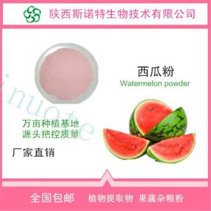 西瓜粉 西瓜汁粉 全水溶 SC 供应 免费试样