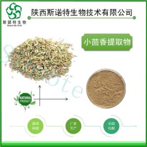 小茴香速溶粉 小茴香提取物粉 食品级 全水溶 无沉淀 