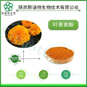 叶黄素酯 5% 万寿菊提取物 新资源食品原料 供应