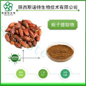 栀子提取物 栀子粉 三方检测 80目 水溶 免费试用