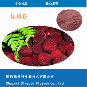 杨梅粉 食品饮料原料 全水溶 无沉淀 **