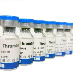 牛凝血酶（Thrombin） 产品图片