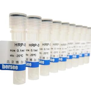 HRP-SA（HRP-链霉亲和素，Streptavidin） 产品图片