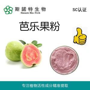 芭乐果粉 番石榴果粉 浓缩果汁粉