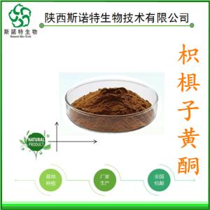 枳椇子黄酮30% 枳椇子提取物 多种规格 食品级