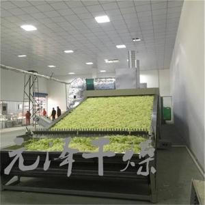 荠菜不锈钢带式干燥机