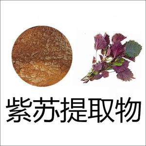 紫苏提取物现货水溶无沉淀