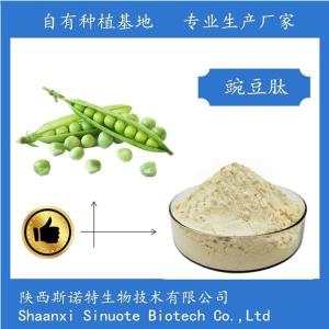 豌豆多肽 80% 豌豆小分子肽 全水溶 食品级 