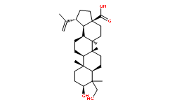 85999-40-223-羟基白桦酸