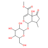 50816-24-55-羟基马鞭草苷